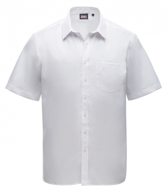 Burt Non-iron Shirt Men